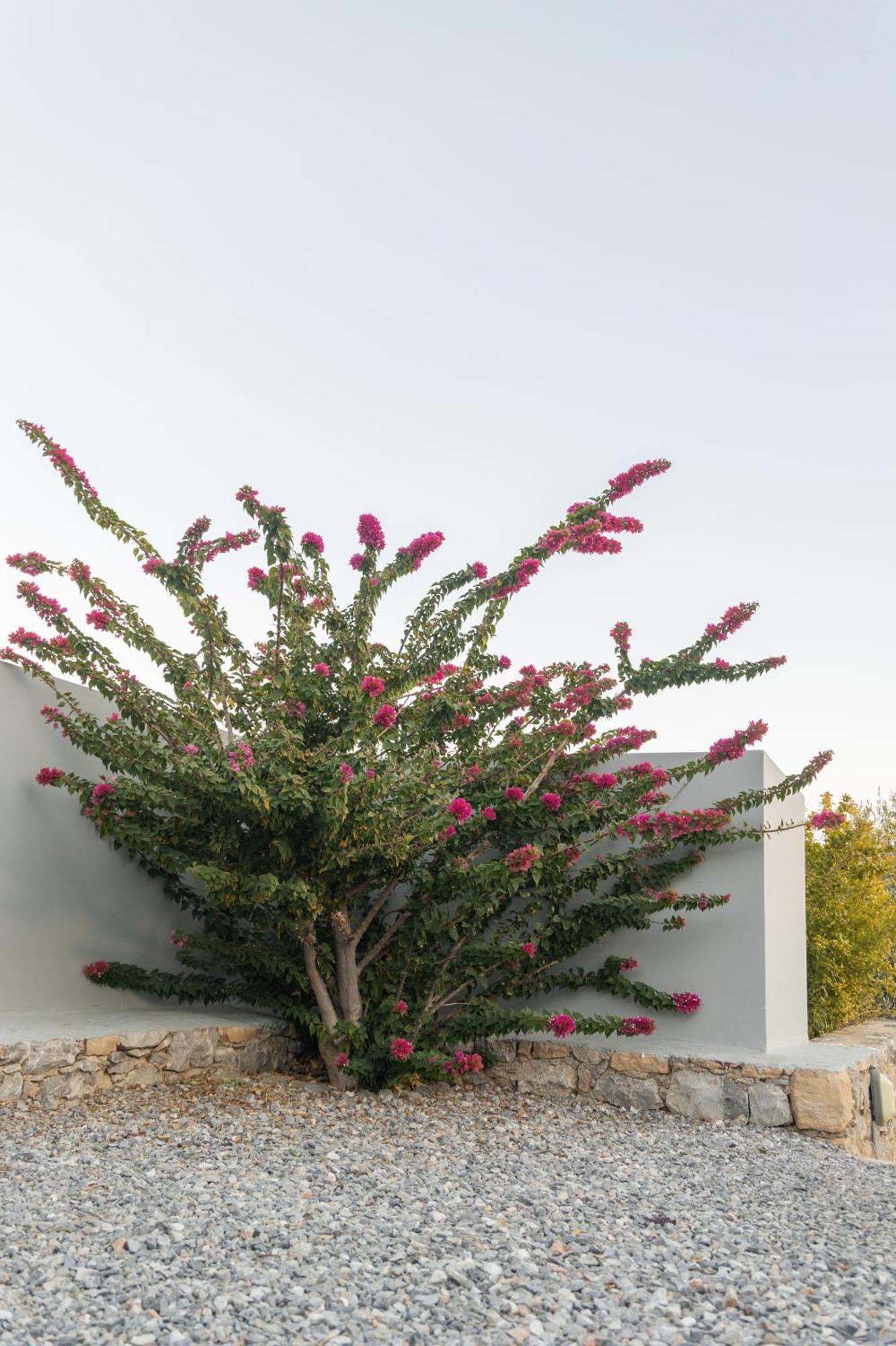 Evgoro Luxury Suites Agia Galini  Exterior photo